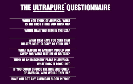 Ultrapure questionnaire